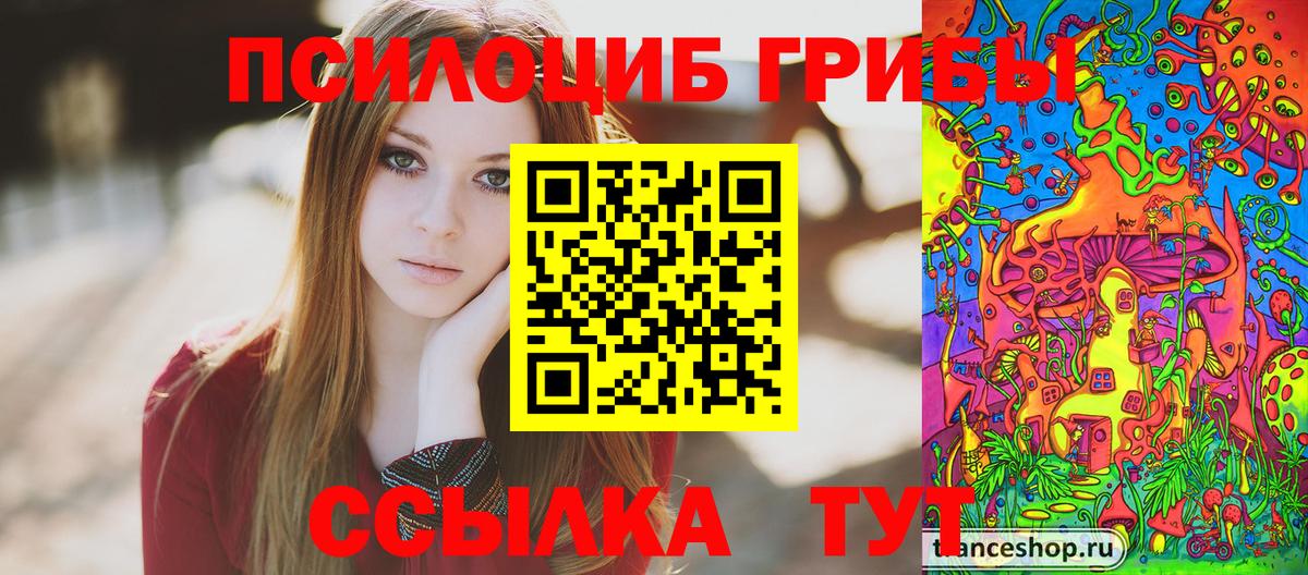 Вичуга  Псилоцибиновые грибы прущие грибы  Псилоцибиновые грибы Cubensis  Вход с VPN 